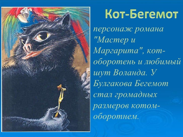 Мой любимый персонаж в романе Мой любимый персонаж в романе